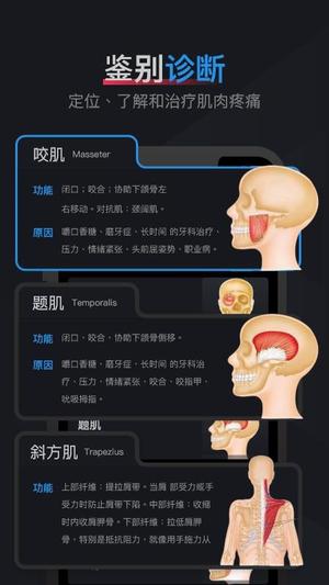 肌肉激痛点图谱v1.2(1)