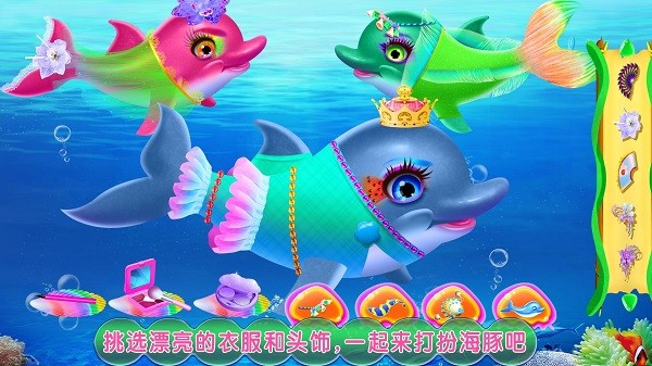 海豚表演馆v8.0.11(1)