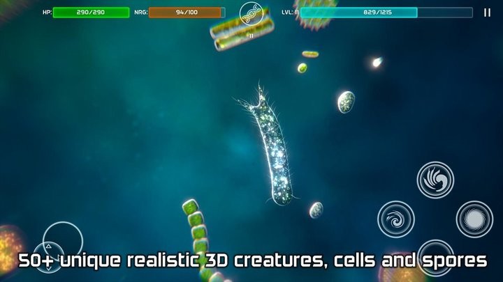 孢子进化模拟器v1.0.0(2)