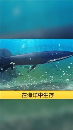 海洋3d蓝鲸模拟v1.0.1(4)