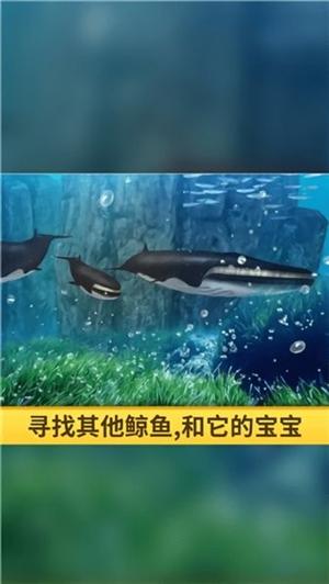 海洋3d蓝鲸模拟v1.0.1(3)