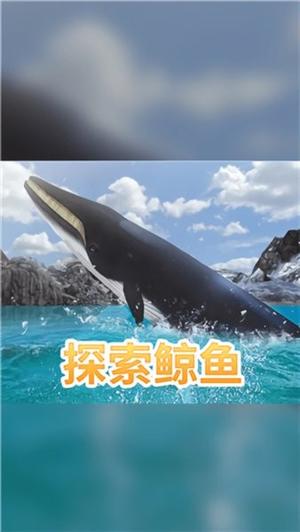 海洋3d蓝鲸模拟v1.0.1(1)