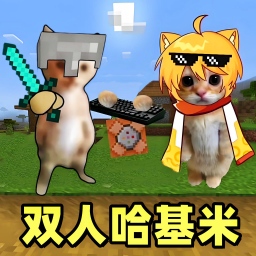 双人对战2