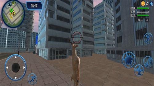 神奇动物冒险v1.3(2)