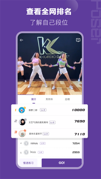 Poserv2.5.2(4)