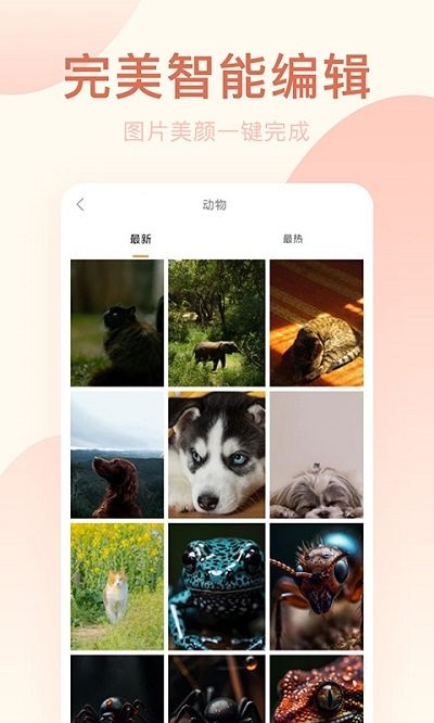 激甜相机安卓版v1.0.1(1)