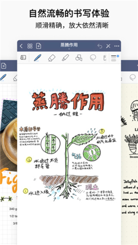 GoodNotes手账手机版v100161693(4)