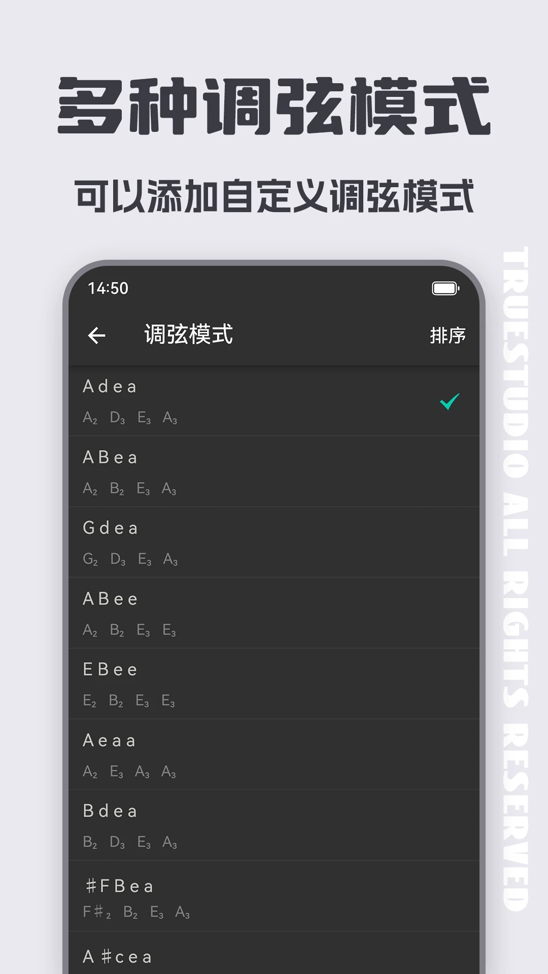 琵琶调音器(1)