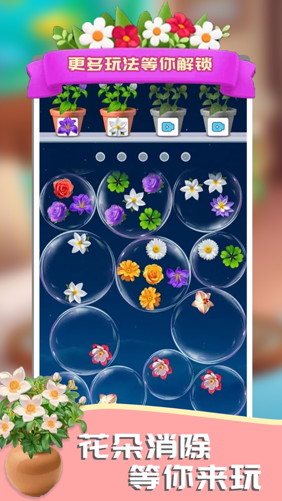 你的花来了v1.0.1(3)