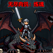 无尽肉鸽炼魂