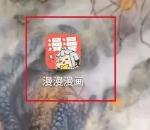 漫漫漫画免费版