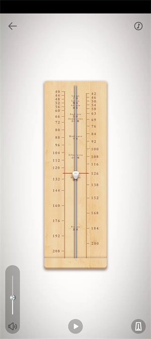 琵琶调音器