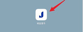 椒盐音乐app最新版2025官方版(Salt Player)