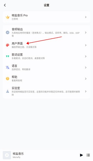 椒盐音乐app最新版2025官方版(Salt Player)