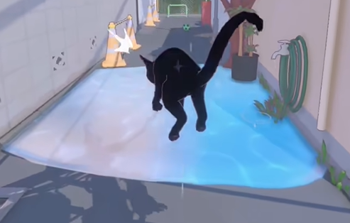 小猫咪大城市手机版