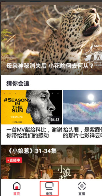 央视频TV版2024最新版本