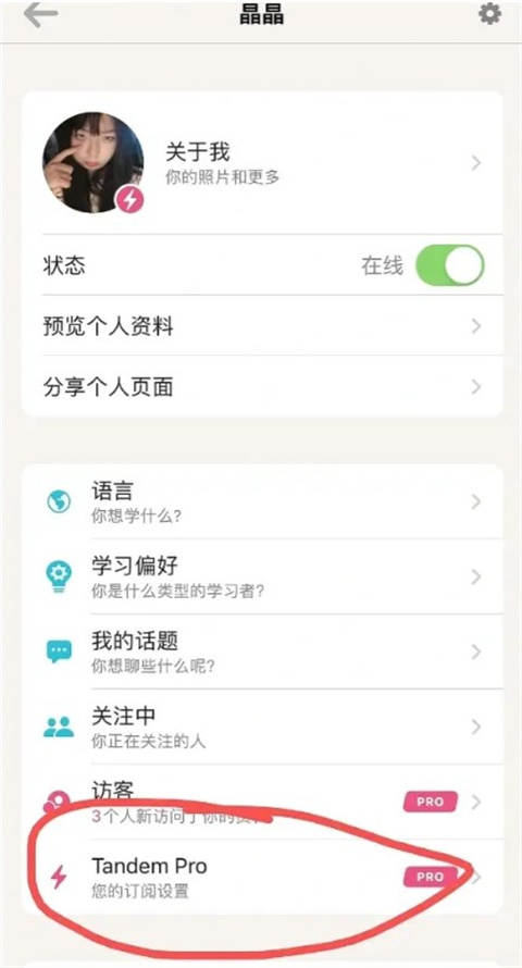 Tandem语言交换