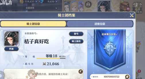 剑与骑士团