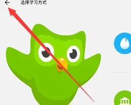 多邻国解锁高级版2025最新版