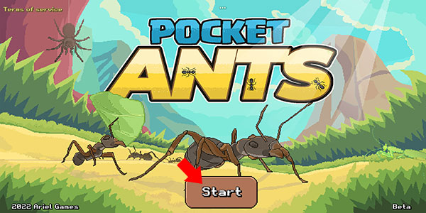 口袋蚂蚁殖民地模拟器汉化版(Pocket Ants)