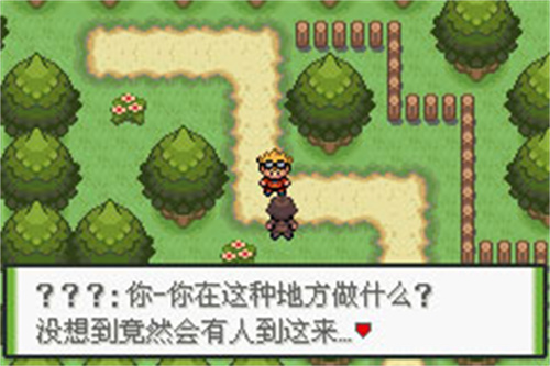 口袋妖怪釉色完整版