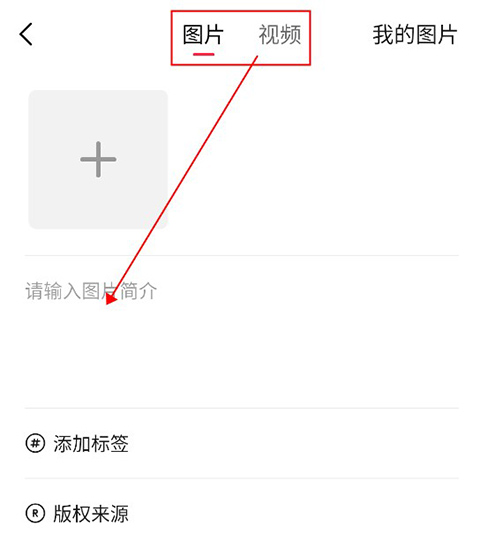 汽水壁纸最新版本下载免费软件