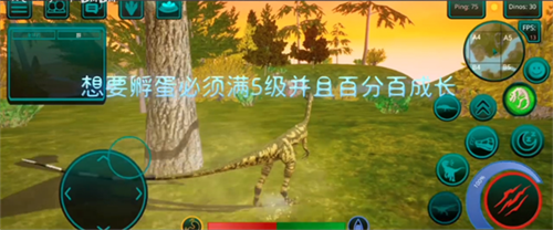 诅咒之岛解锁全部龙