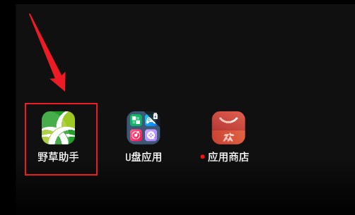 野草助手U盘应用电视版app