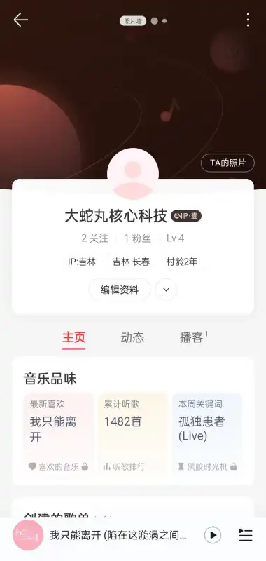 大蛇丸音乐软件免费下载安装手机版v1.0(4)