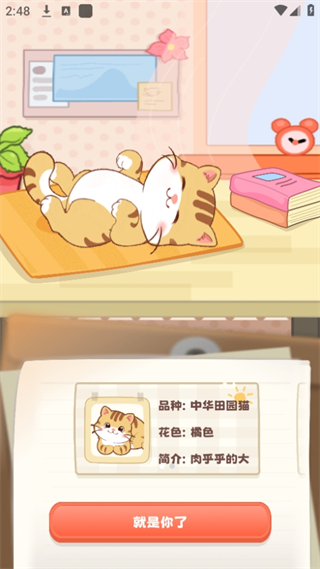桌面喵下载安卓