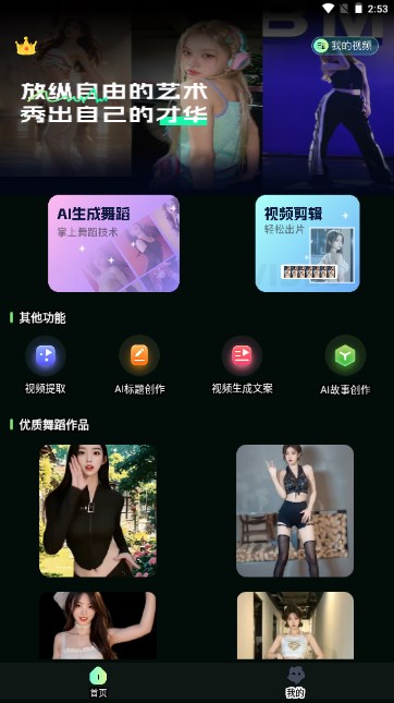 AI视频舞蹈秀app最新v2.1.1(4)