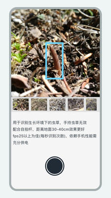 乐见虫草找虫草软件v1.0.5(3)
