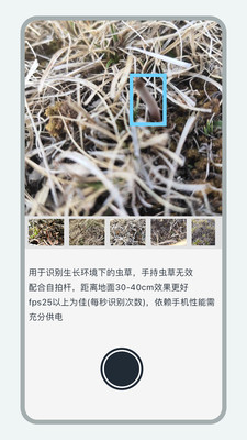 乐见虫草找虫草软件v1.0.5(4)