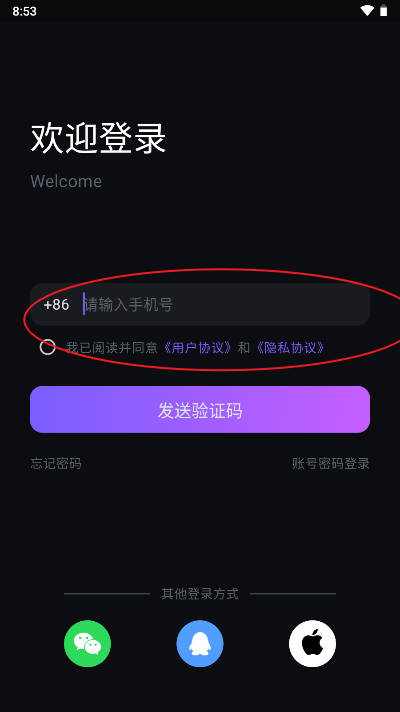 99语音陪玩软件v1.0.0(2)
