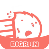 bigrun论坛app手机版