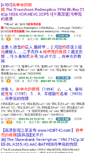 雨花阁搜寻引擎软件v1.0(4)