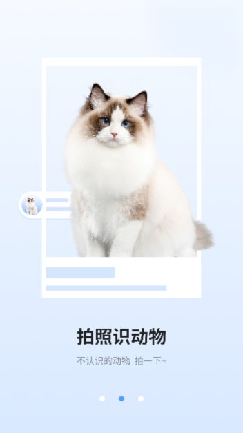 识图相机app官方正版v1.0(4)