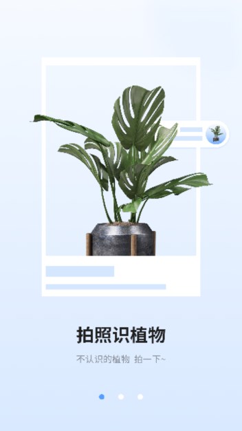 识图相机app官方正版v1.0(3)
