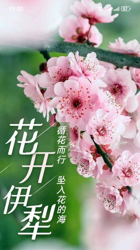 我的伊犁app正式版v1.0.0(3)