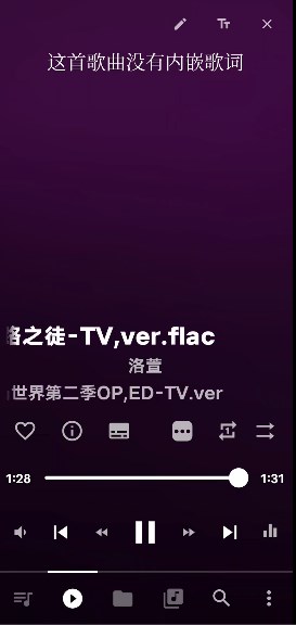 Musicolet安卓中文专业版v6.12 build501(4)