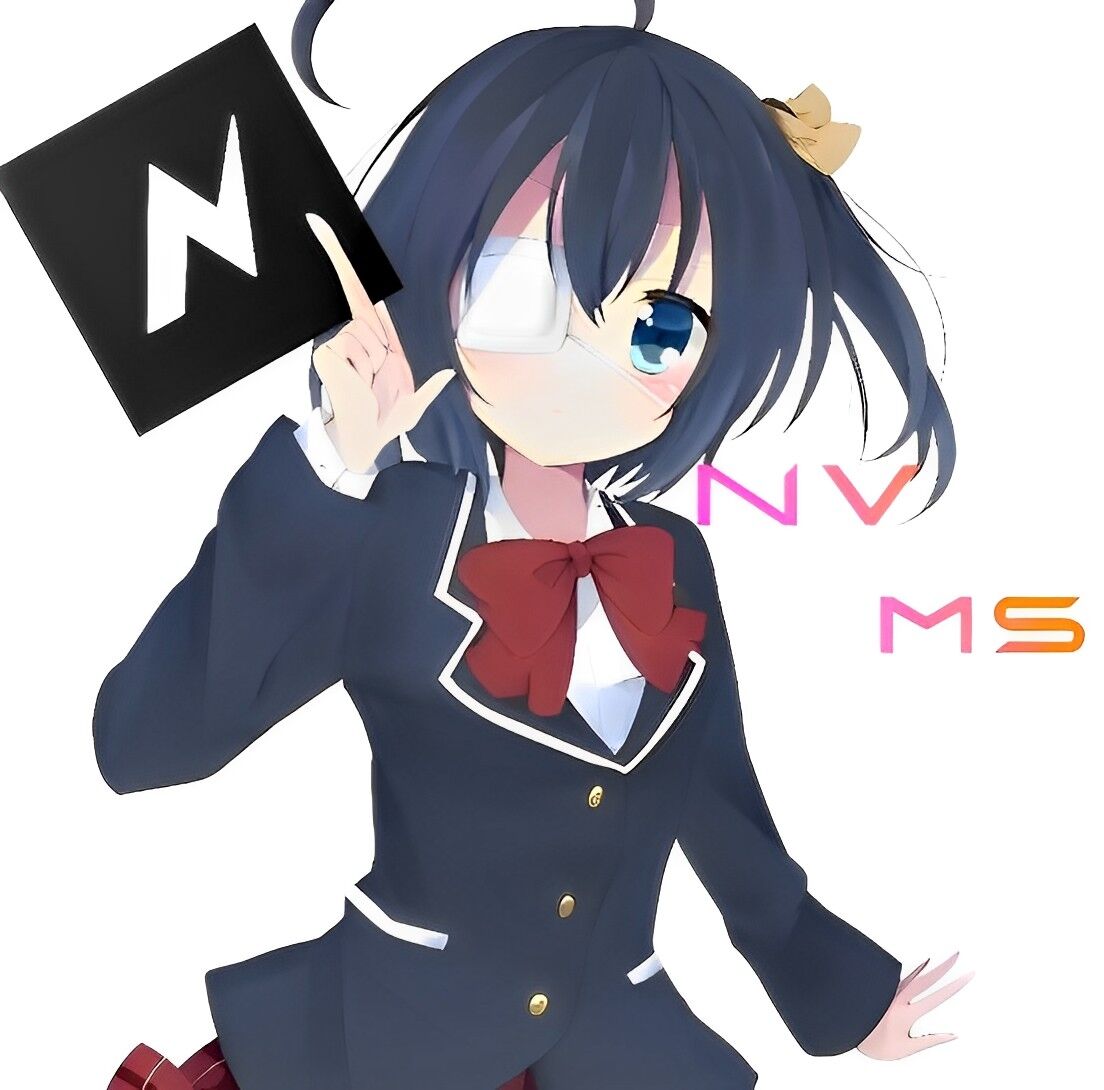 NV MS剪辑软件免费版