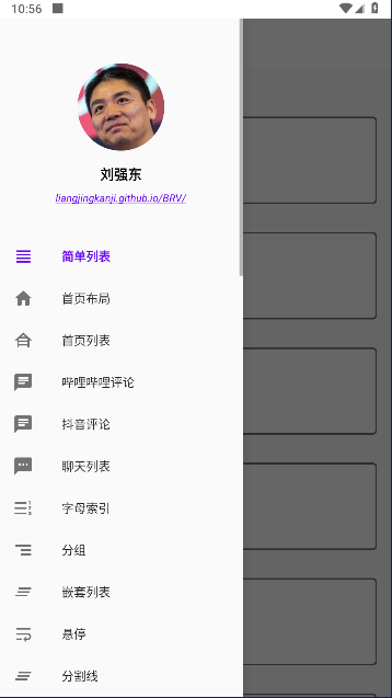 BRV框架软件v1.0(1)