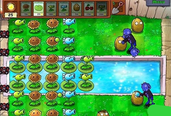 植物大战僵尸cl版2025最新版本