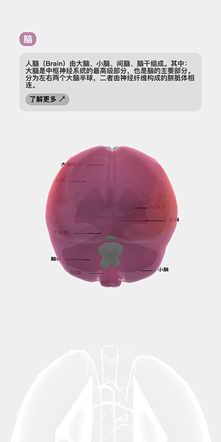 LIFE生命人体模拟器汉化破解版最新2025