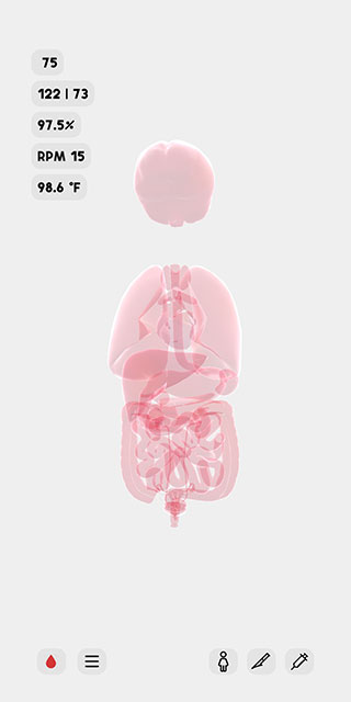 LIFE生命人体模拟器汉化破解版最新2025