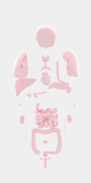 LIFE生命人体模拟器汉化破解版最新2025