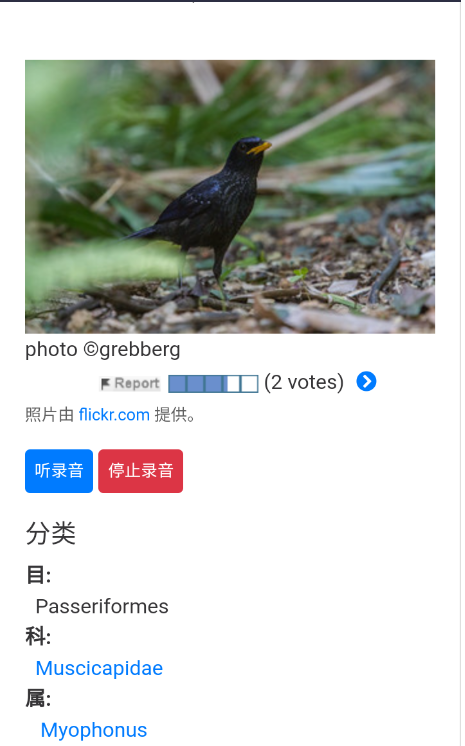世界鸟类数据库手机app