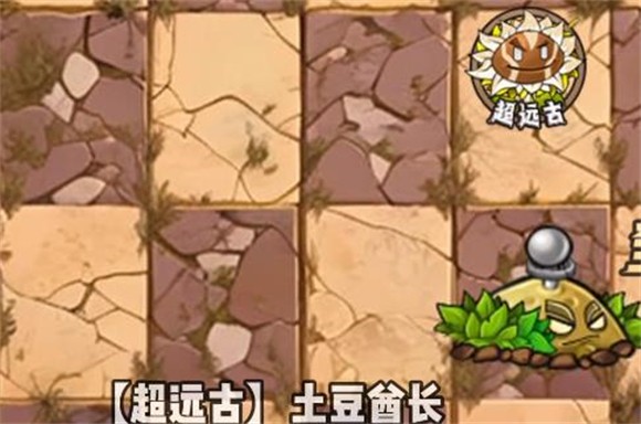 植物大战僵尸神奇植物在哪里版2025最新版本