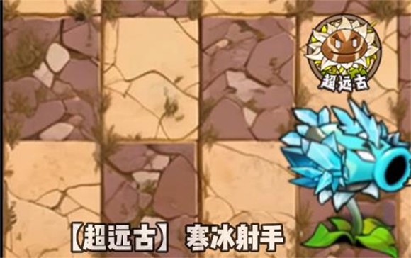 植物大战僵尸神奇植物在哪里版2025最新版本