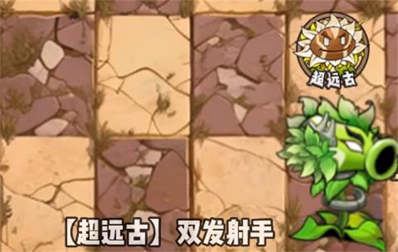 植物大战僵尸神奇植物在哪里版2025最新版本